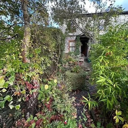 Hillside Cottage Rhondda Exterior photo